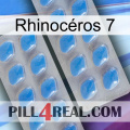 Rhinocéros 7 23